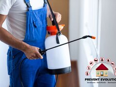 Prevent Evolution - Servicii profesionale deratizare, dezinfectie si dezinsectie